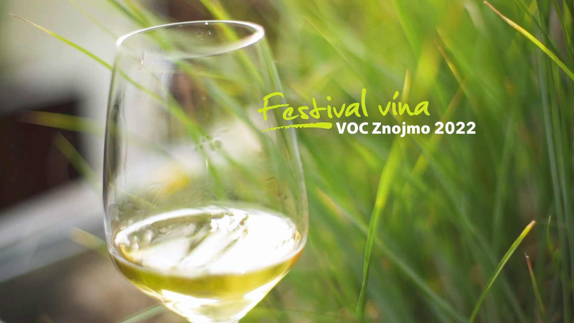 Festival VOC Znojmo před kamerou     