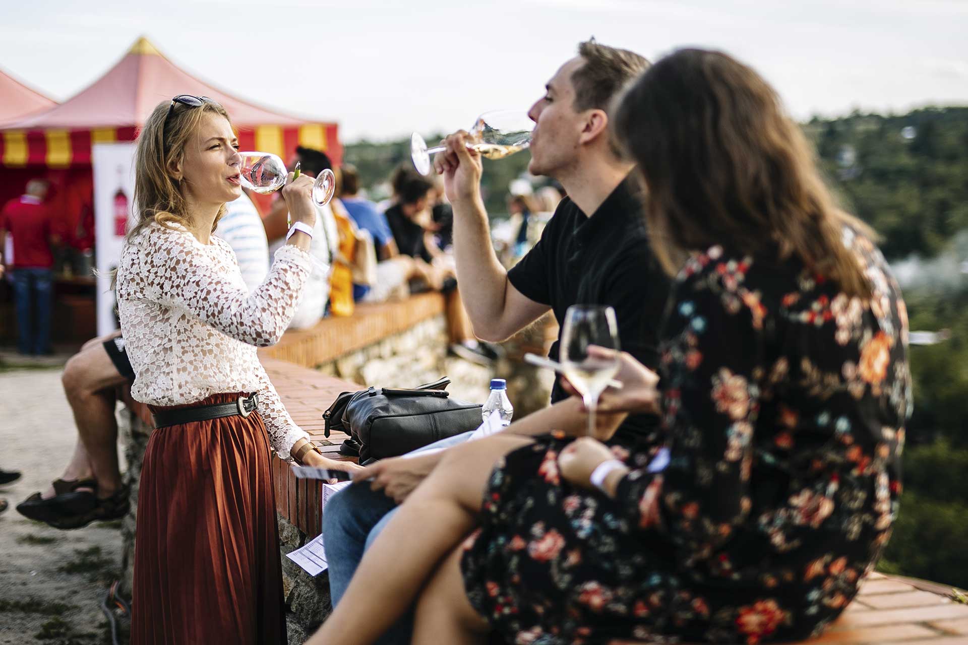 VOC Znojmo Wine Festival on the first Saturday in May