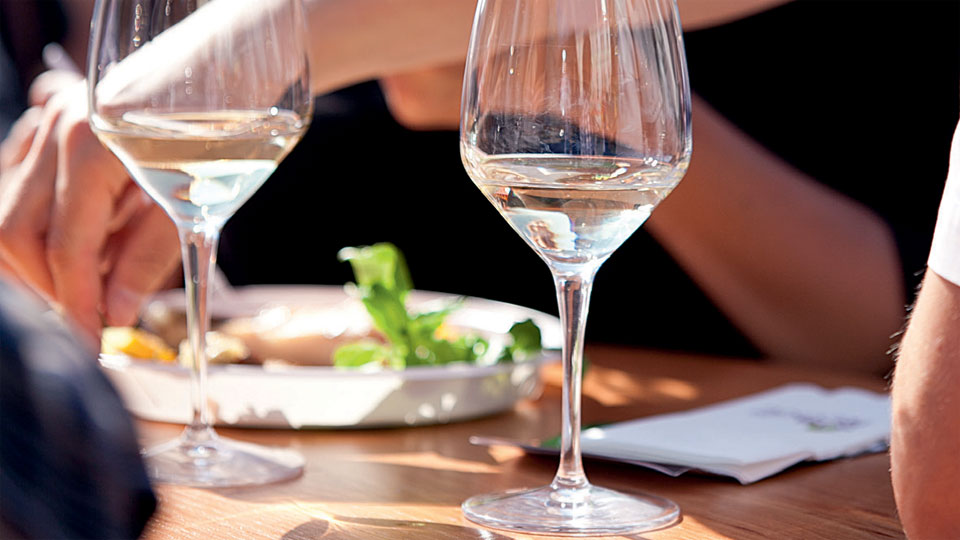 Cesta vína VOC Znojmo z vinice až na Váš stůl