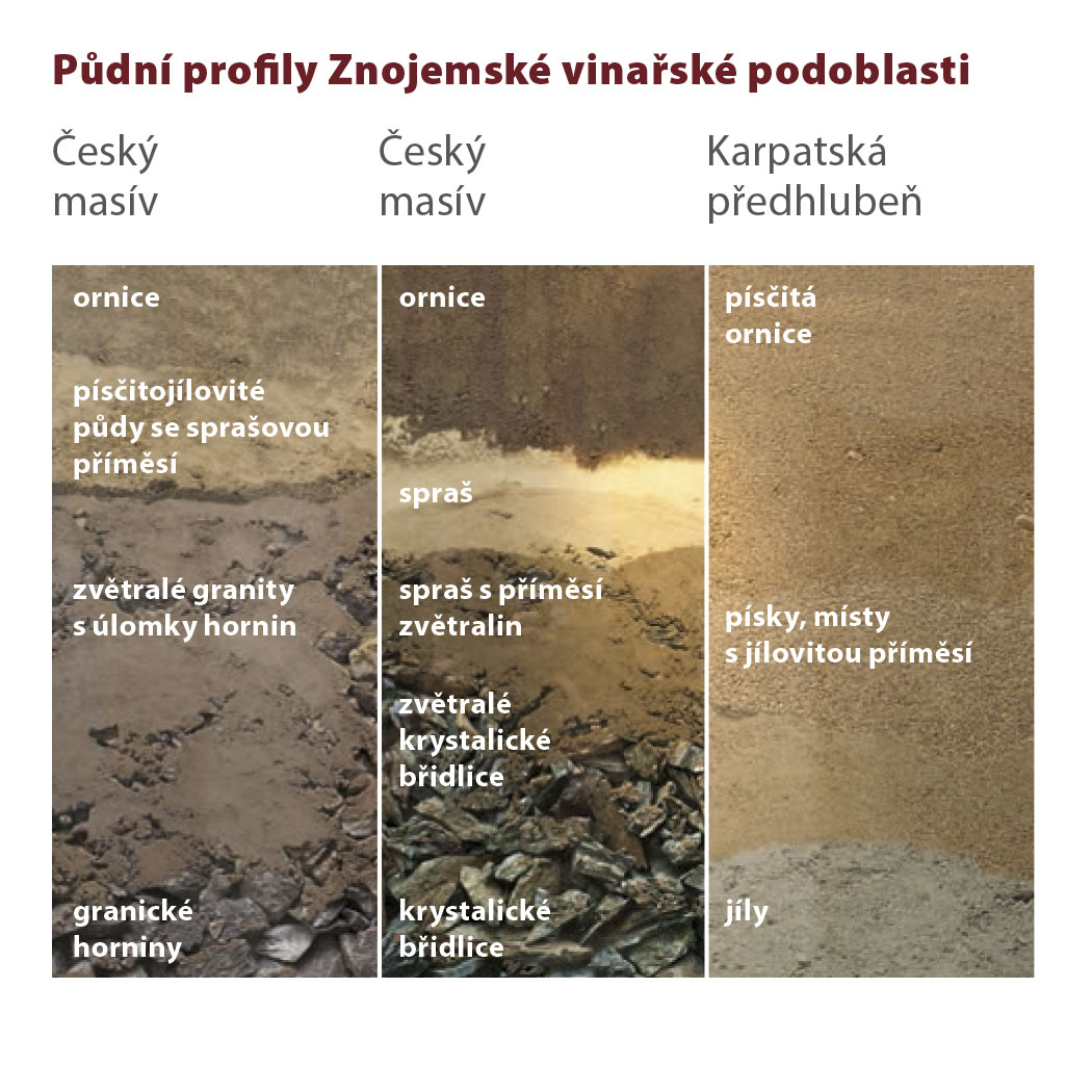 Aromatic Wines from the Znojmo District